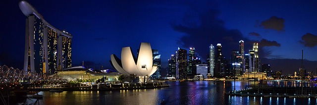 image from Infinite Pool, Hotel Marina Bay Sands, Singapore