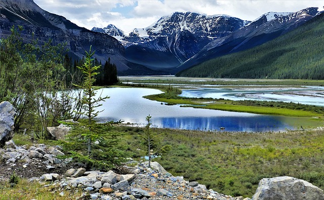 image from Jasper Boat Tours