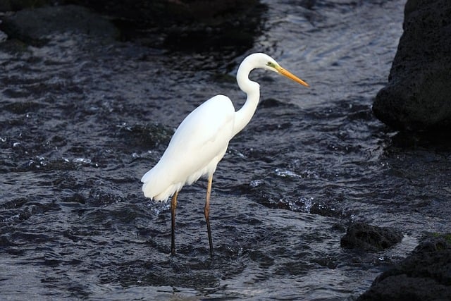 image from Group Activities Jeju