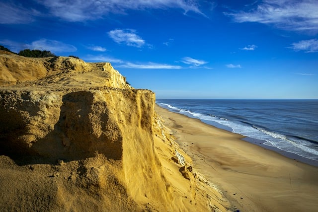 image from Joggins Fossil Cliffs