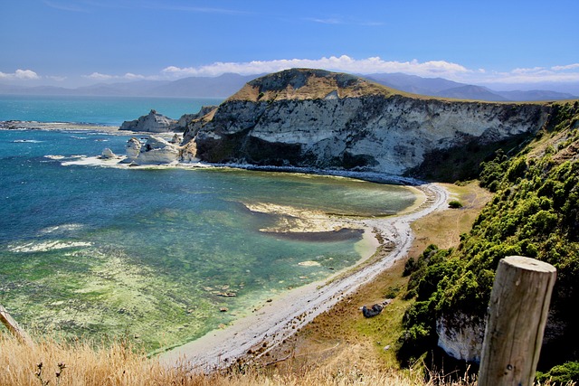 image from Bus Tours Kaikoura