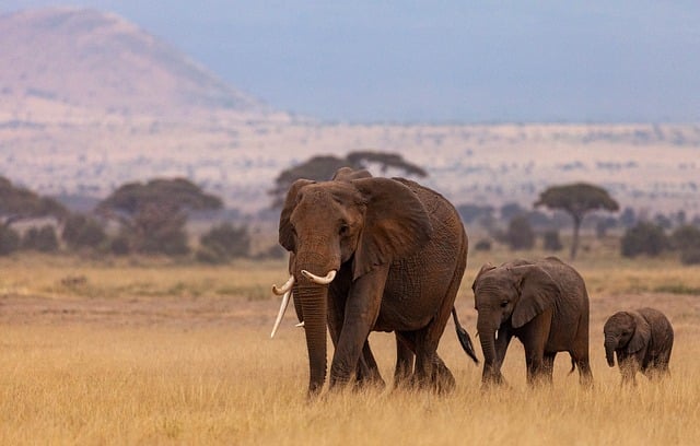 image from Romantic Getaways Kenya