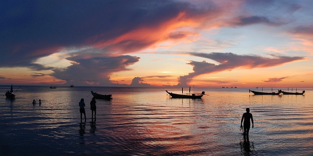 image from Animal activities Ko Tao