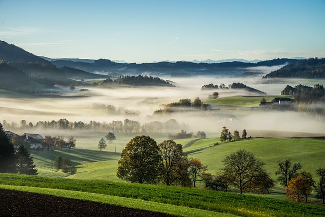 image from Cultural Landscape Of Sintra