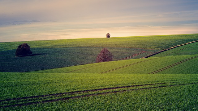 image from Koutammakou the Land of the Batammariba