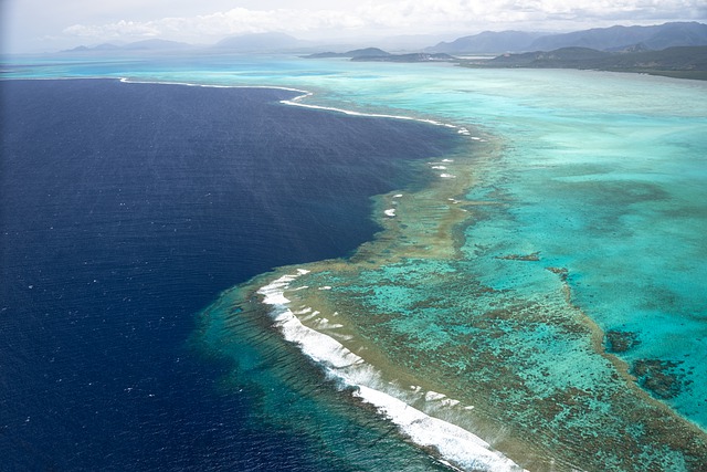 image from Lagoons of New Caledonia Reef Diversity and Associated Ecosystems