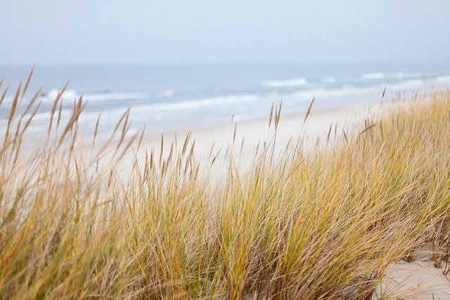 image from Lavena Coastal Walk