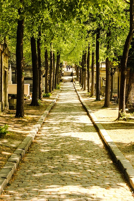 image from Le Cimetière De Père Lachaise