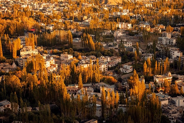 image from Walking Tours León