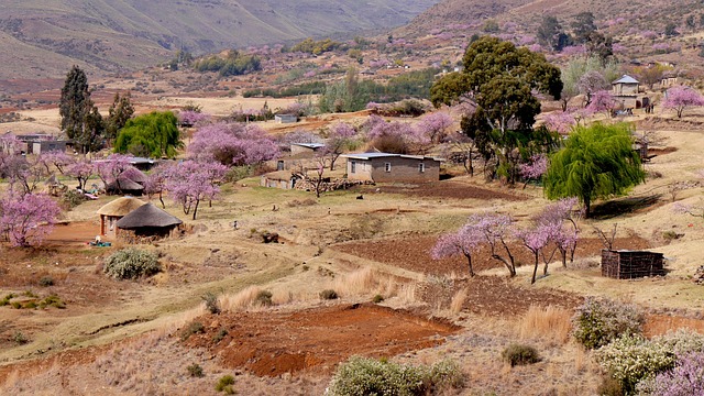 image from Lesotho 4 Day Itinerary