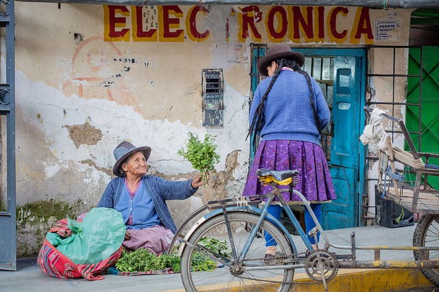 image from Choquequirao Peru