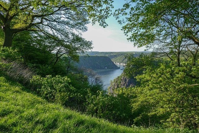 image from Loreley Rock