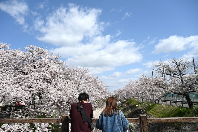 image from Lovers Bridge