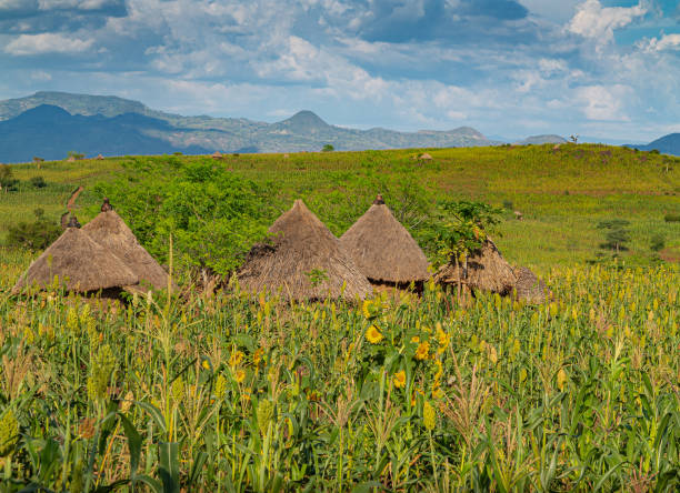 image from Lower Valley of the Omo