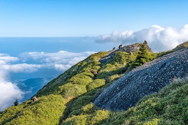 image from Adventure Tours Málaga