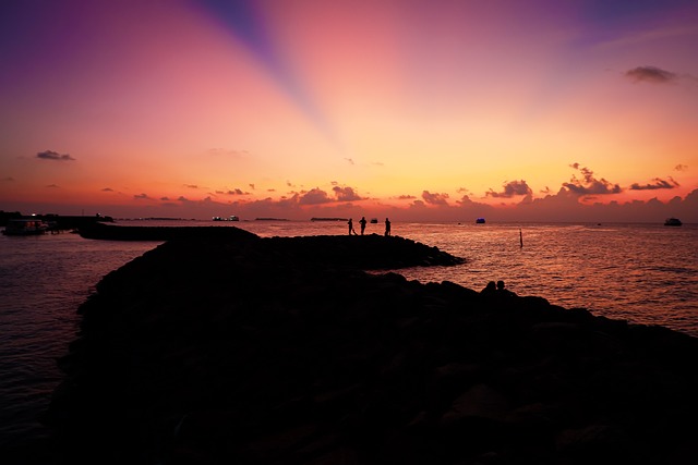 image from Animal activities Maafushi