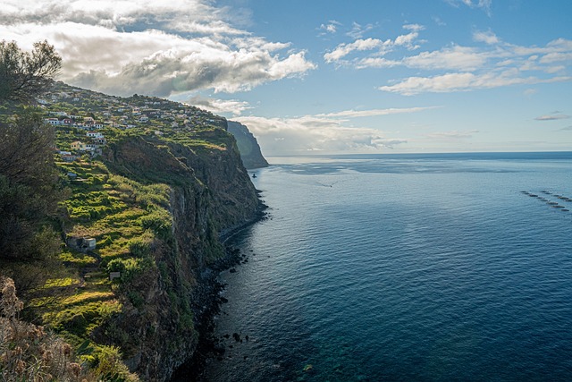 image from Madeira Boat Tours