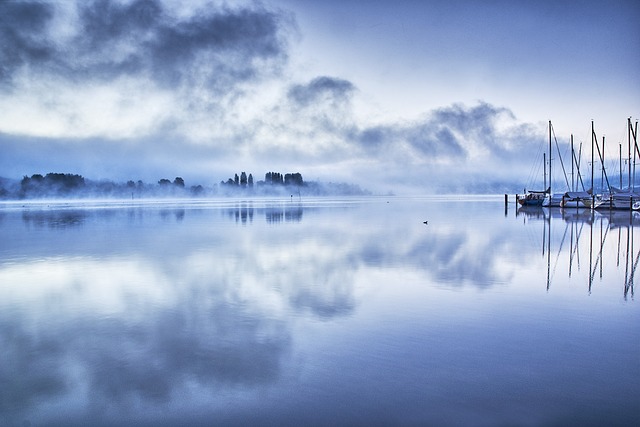 image from Mainau Island Lake Constance