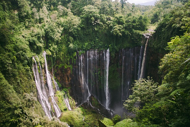 image from Bus Tours Malang