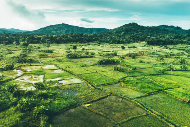 image from Malawi 7 Day Itinerary