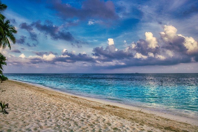 image from Maldives Republic of Boat Tours