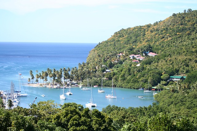 image from Solo Activities Marigot