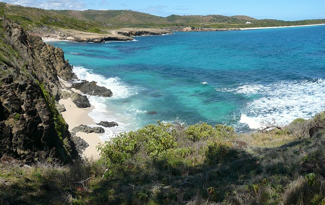 image from Bus Tours Martinique