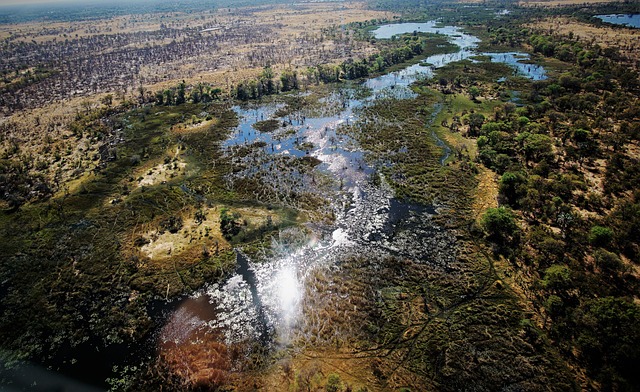 image from Bus Tours Maun