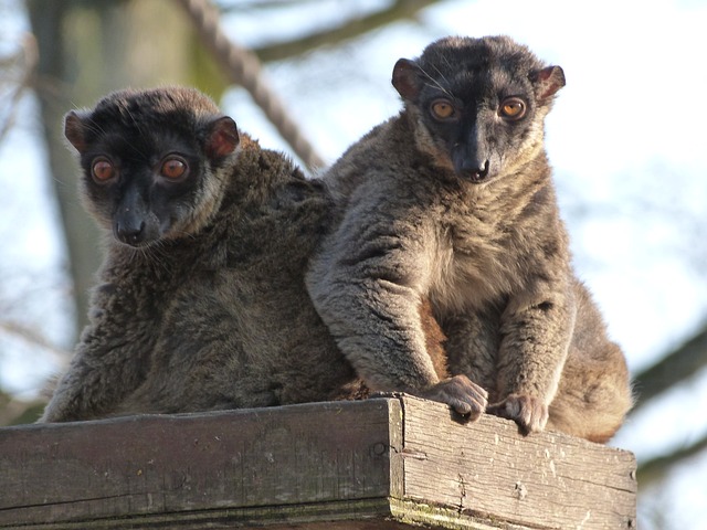 image from Mayotte-3-day-itinerary