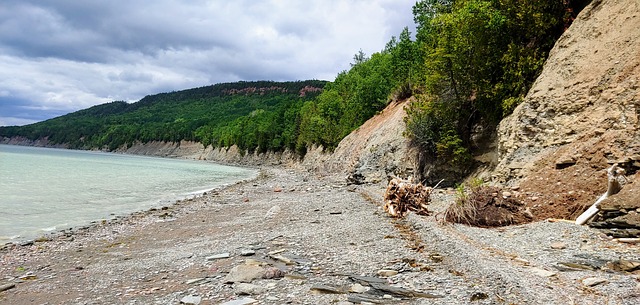 image from Miguasha National Park