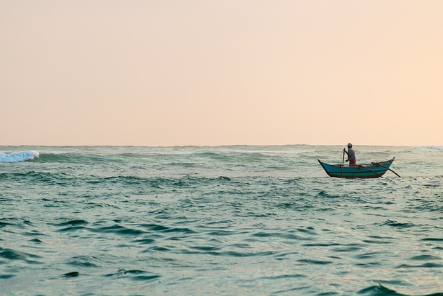 image from Day Trips Mirissa