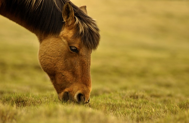 image from Mongolia 6 Day Itinerary