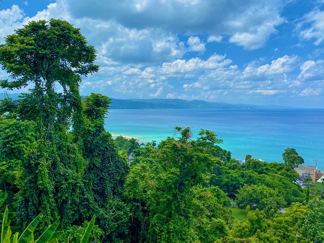 image from Montego Bay Boat Tours