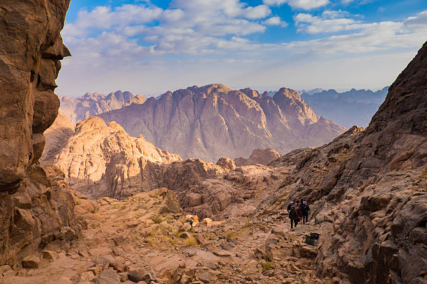 image from Mount Sinai