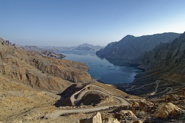 image from Animal activities Musandam