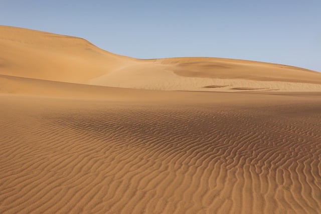 image from Namib Sand Sea