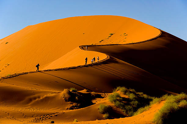 image from Solo Activities Namibia