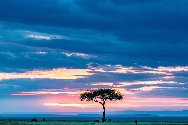 image from Family Friendly Activities Narok County