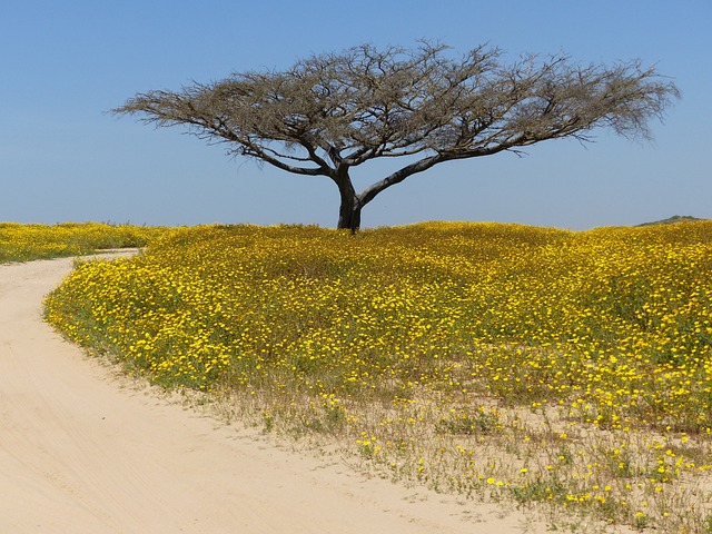 image from Adventure Sports Negev Desert