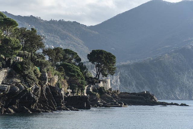 image from Nelson Bay Boat Tours