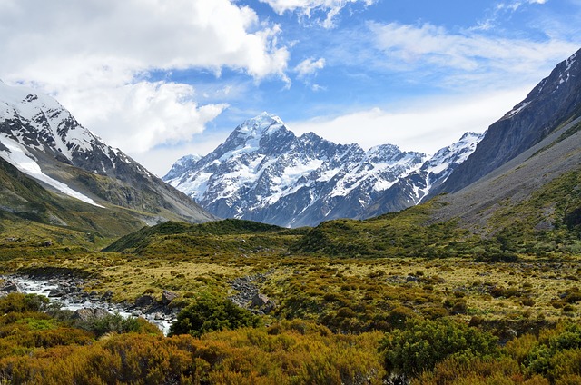 image from New Zealand Sub-Antarctic Islands