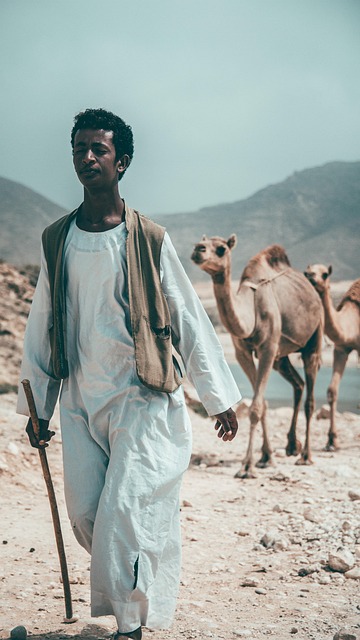 image from Nizwa, Oman