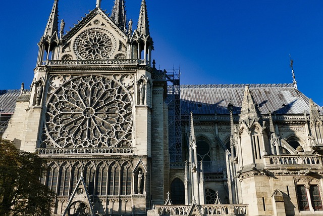 image from Notre Dame Cathedral Paris