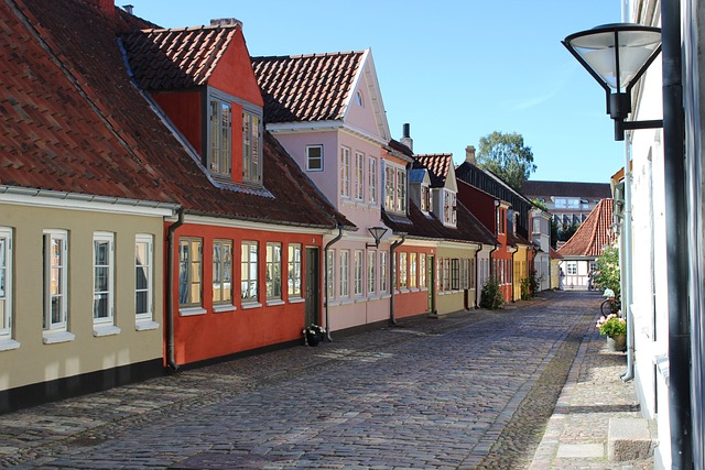 image from Odense Boat Tours