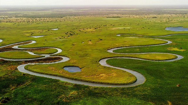 image from Okavango Delta, Botswana