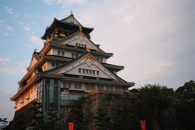 image from Osaka Castle