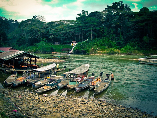 image from Bus Tours Pahang