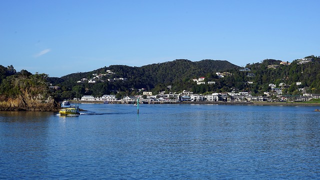 image from Animal activities Paihia