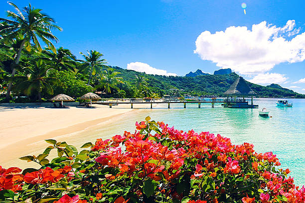 image from Papeete Bora Bora 6 Day Itinerary