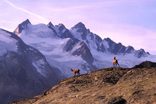 image from Parc National D´Andringitra